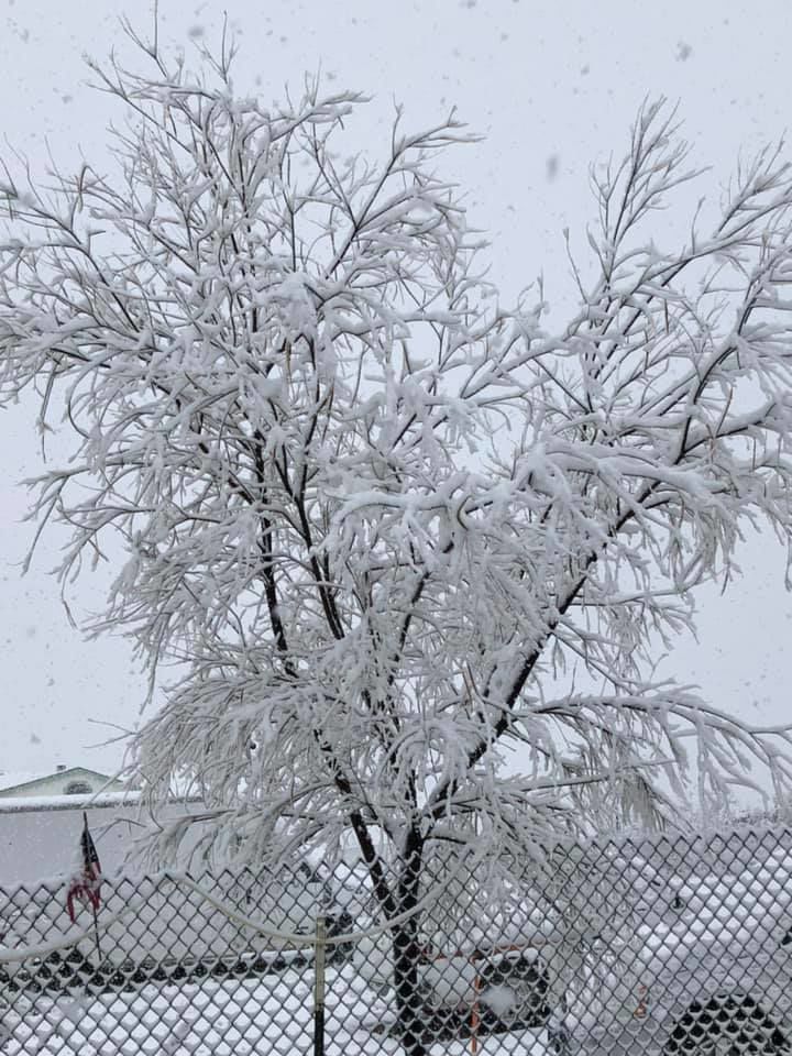 Snow in Tucson